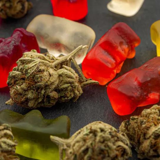 El gigante mundial Canopy Growth se expande en el mercado de cannabis de EEUU