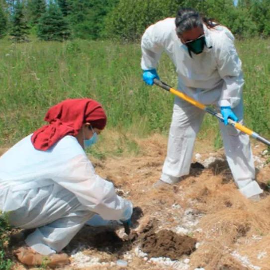 Un pueblo indígena de EEUU limpia suelos contaminados de una antigua base militar con cáñamo