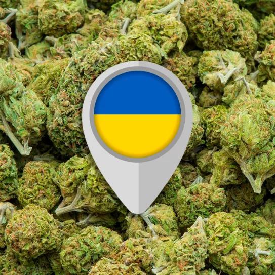 La Unión Europea podría proveer de cannabis medicinal a Ucrania