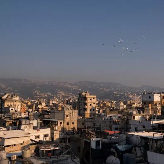 Fumando porros con el genocidio en los talones