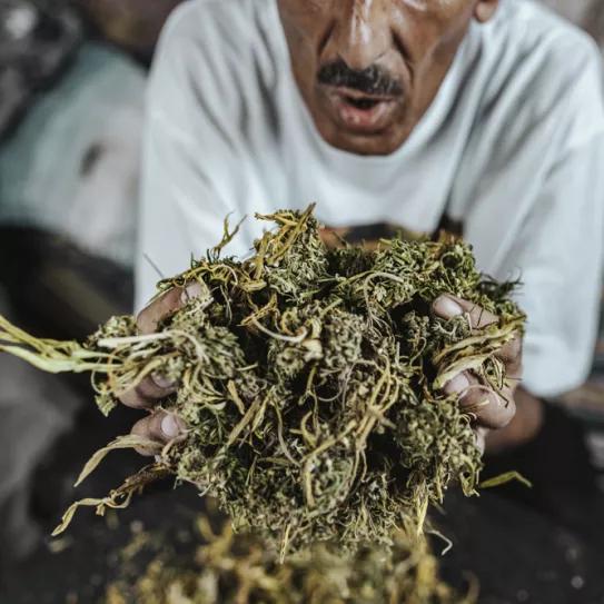 “Rif Mountains: el paraíso perdido”. Marcel Favery