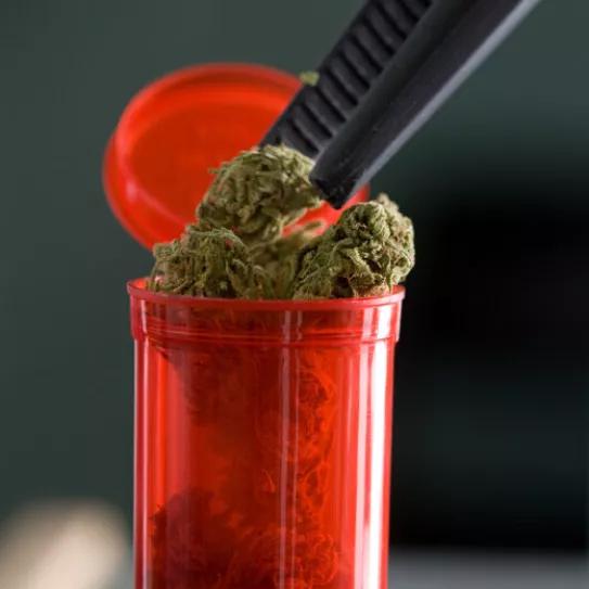 Dinamarca ampliará su programa de cannabis medicinal