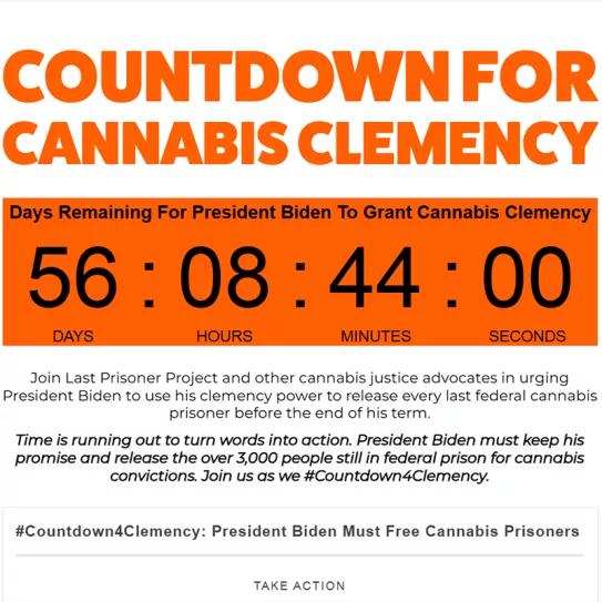 Representantes demócratas le exigieron a Joe Biden la liberación de tres mil presos por cannabis