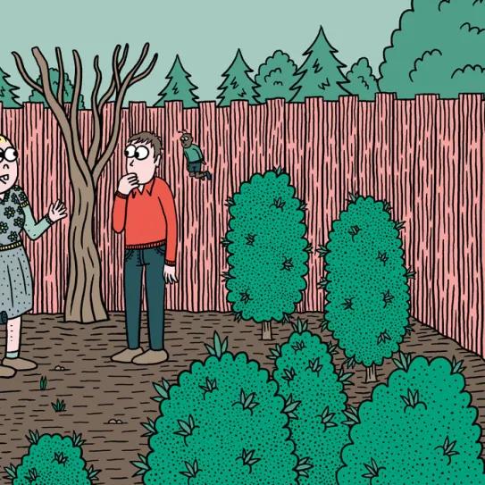 La cosecha perfecta en diez pasos: consejos y trucos de experto