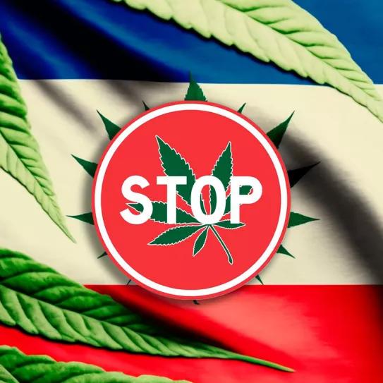La Justicia de Costa Rica declaró inconstitucional un proyecto para legalizar el cannabis