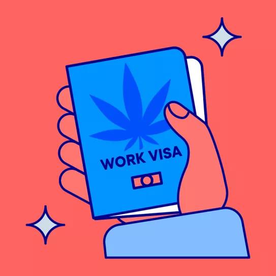 EEUU no podrá negar visas laborales a los extranjeros que trabajen en la industria del cannabis