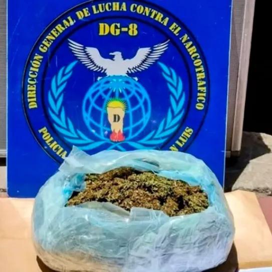 La policía argentina destruyó un proyecto de investigación científica sobre cannabis medicinal