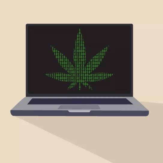 https://canamo.net/noticias/mundo/se-publicaron-mas-de-35-mil-articulos-cientificos-de-cannabis-en-la-ultima-decada