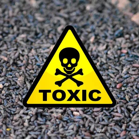 Dos hombres mueren tras intoxicarse con guano de murciélago en su cultivo de cannabis