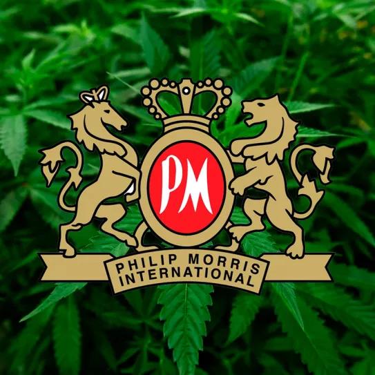 La mayor tabacalera del mundo invierte en la industria del cannabis medicinal
