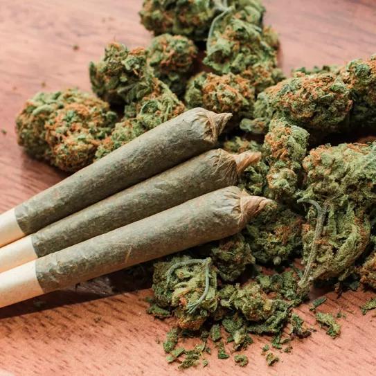 Encuentran bacterias y pesticidas en el cannabis que se vende en los coffee shops holandeses