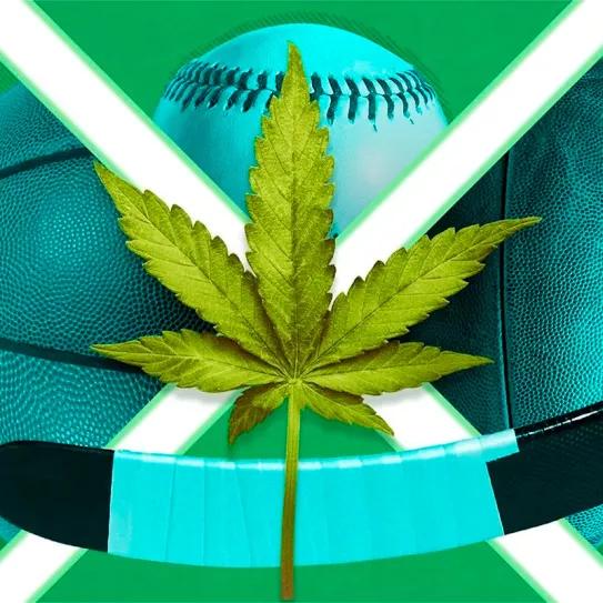 Los jugadores de hockey prefieren el cannabis y los videojuegos al alcohol y las fiestas