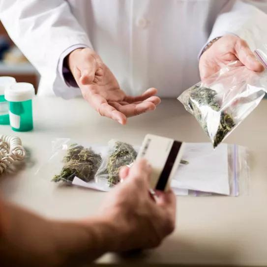 Las recetas de cannabis medicinal en Alemania aumentaron un 1.000%