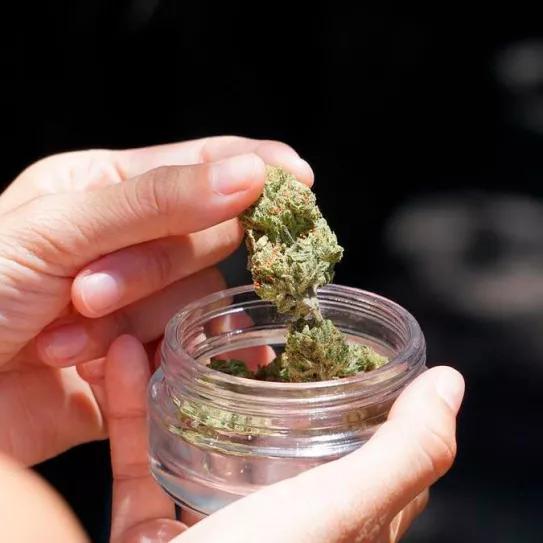 Austria impondrá un impuesto a los productos de CBD