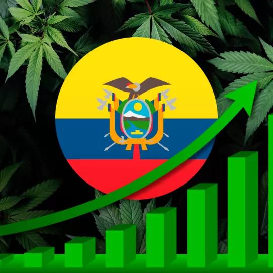 La industria del cannabis crece en Ecuador