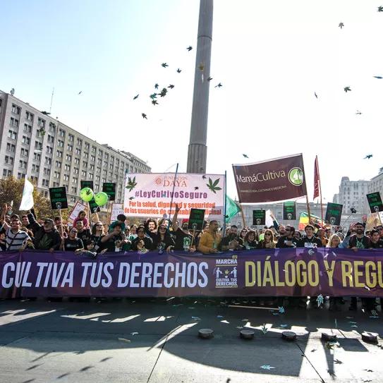 Qué pasa con la marihuana en Chile Por Carlos Martínez Rentería