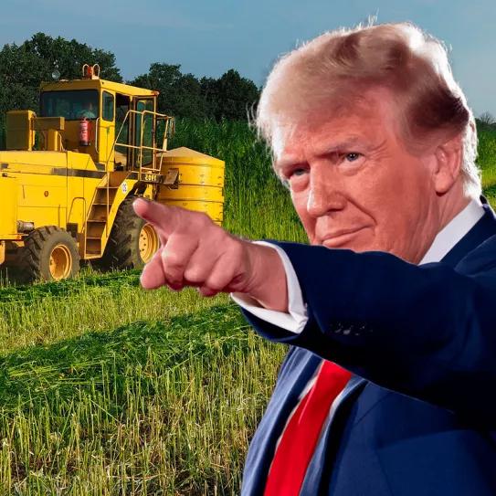 Donald Trump ataca a la industria del cáñamo
