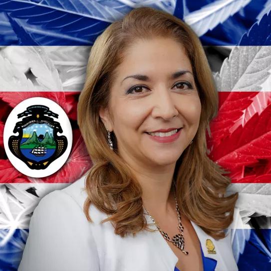 Costa Rica presentó un reglamento para solicitar licencias productivas de cannabis