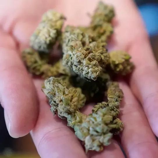 Se acercan las ventas de cannabis para uso recreativo en Suiza