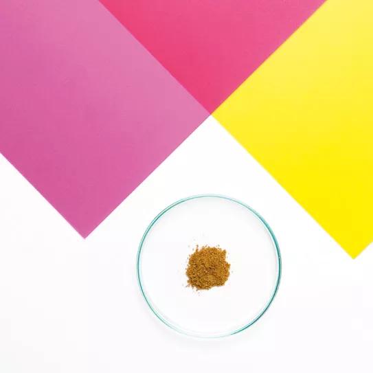 La kanna, una suculenta africana para las enfermedades del alma 