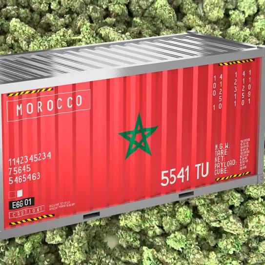 Por primera vez, Marruecos exportó legalmente cannabis a Suiza