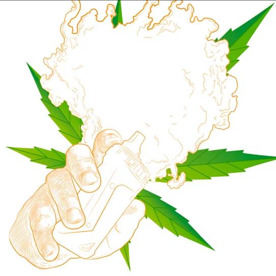 Los vapeadores prohibidos 