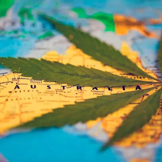 La legalización del cannabis en Australia generaría más de 640 millones de euros