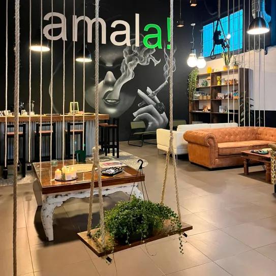 La Asociación amala de Murcia: Promoviendo la Regularización del Cannabis