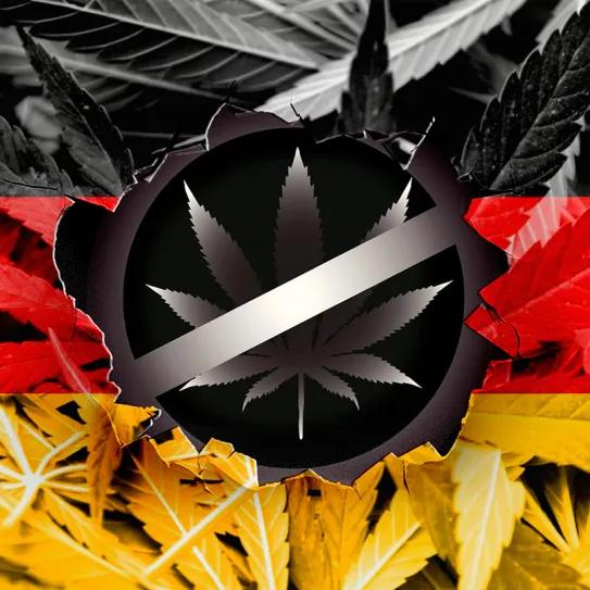 La nueva alianza de gobierno alemán habría acordado derogar la legalización del cannabis