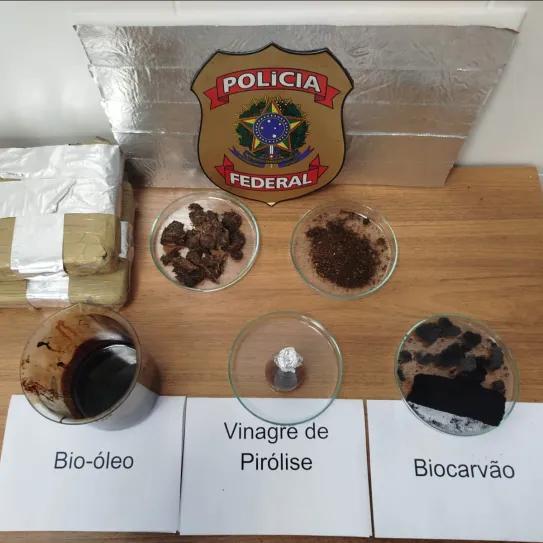 “Projeto Cannabiocombustível”, o projeto conta com a colaboração das Universidades Federais do Pará (UFPA) e de Santa Catarina (UFSC