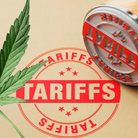 Israel pretende aumentar un 165% los aranceles al cannabis importado de Canadá