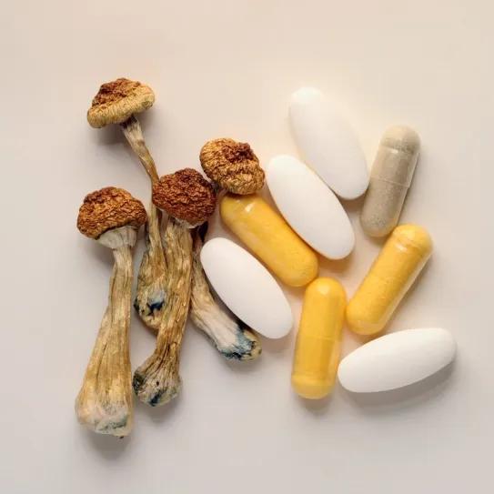 Nuevo México legaliza el uso médico de la psilocibina