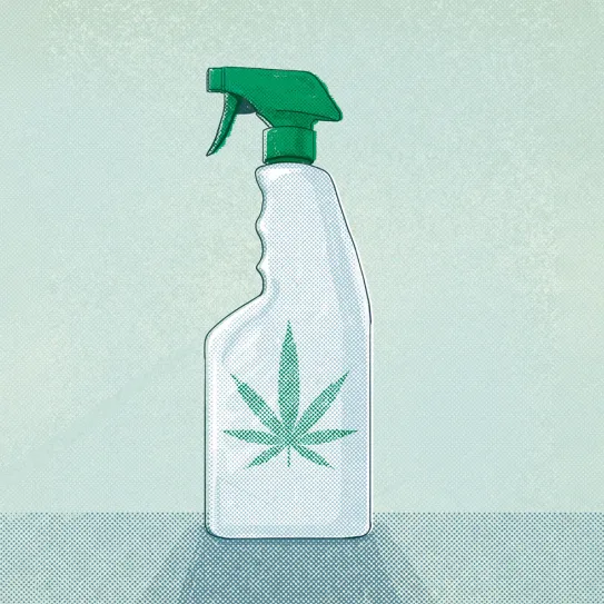 Los peligros de los insecticidas 