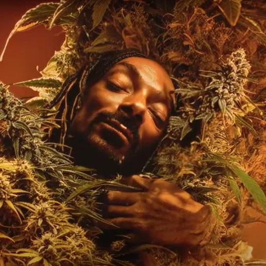 Nuevo video: Snoop Dogg da su “último baile” con “Mary Jane”