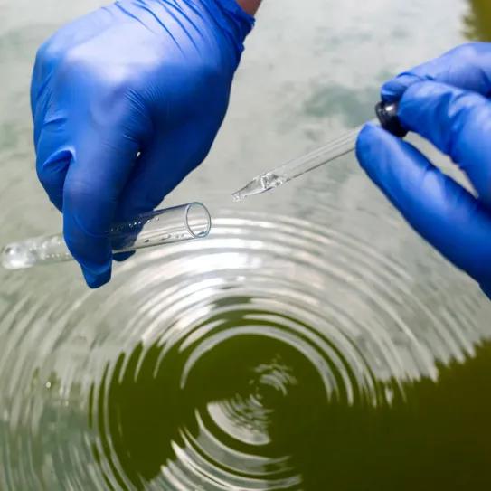 Detectan opioides sintéticos en aguas residuales australianas