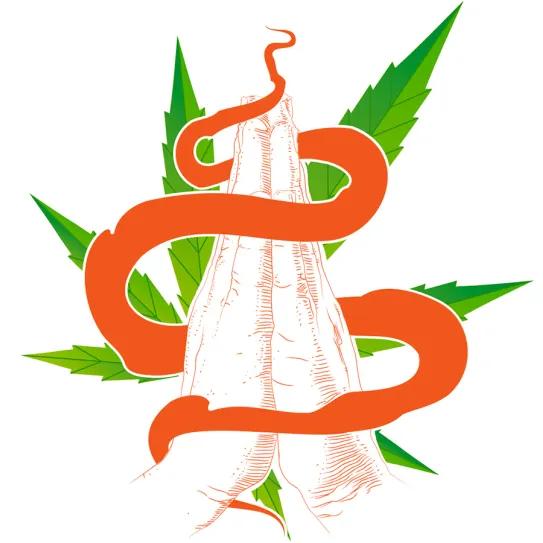 Observatorio Norteamericano - Indiana: estancada en el tiempo. Por Oswaldo Pérez Cabrera 