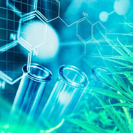 Amplio respaldo científico al uso del cannabis en el tratamiento del cáncer