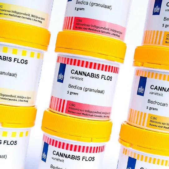 Dinamarca consolida al cannabis medicinal en su sistema sanitario