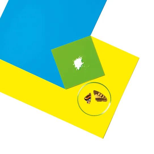 Drogas ‘fly’: las poderosas mariposas del mundo psicofarmacológico