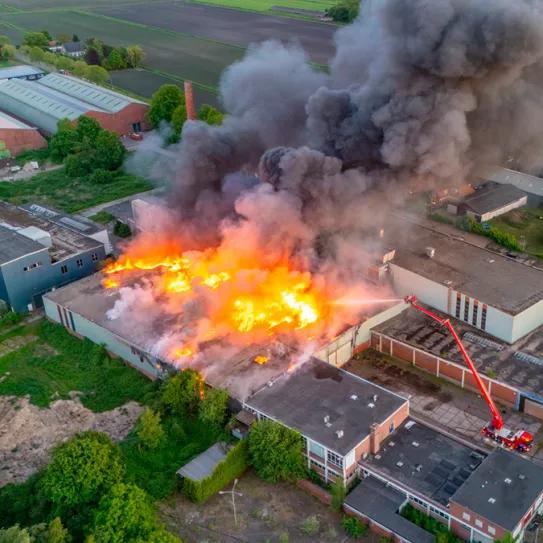 Incendio destruye fábrica de cáñamo del fundador de Sensi Seeds