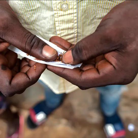 Sierra Leona declara emergencia nacional por consumo de "kush"