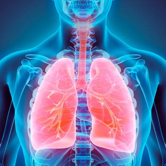 Puede un cannabinoide reparar el daño en los pulmones causado por el asma?