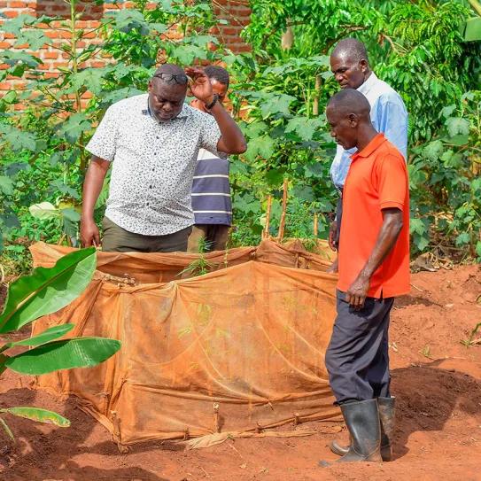 Uganda impulsa su primer programa nacional de cáñamo industrial