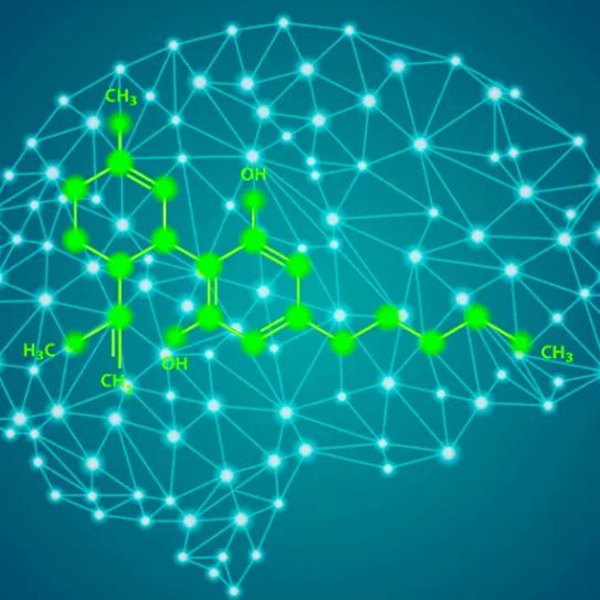Investigadores canadienses prueban efectos positivos del CBD en la memoria