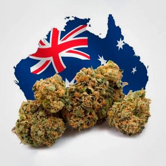 Crece el apoyo al cannabis legal en Australia: el 48% ya está a favor