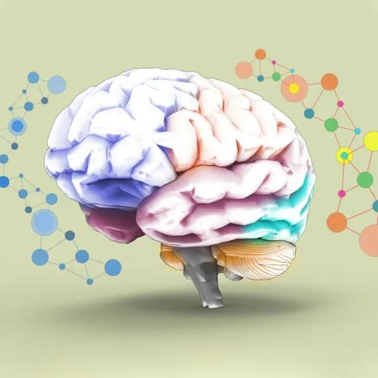 Investigación establece que CBD revierte daños cerebrales asociados a esquizofrenia 