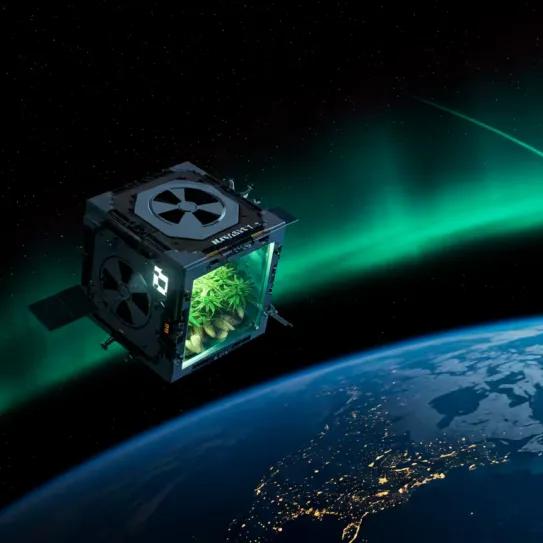 Fracasa el experimento que llevaba semillas de cannabis al espacio
