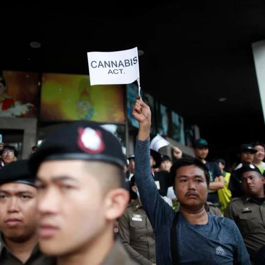 Tailandia limita el cannabis a uso médico tras tres años de despenalización