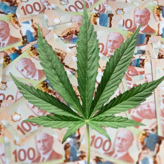 El cannabis legal aportó más de 9.200 millones de dólares al PIB de Canadá