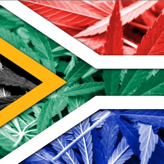 Simposio en Johannesburgo impulsa una regulación más inclusiva del cannabis